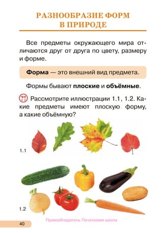 Любимый Овощ Морковь Сочинение 3 Класс Мой